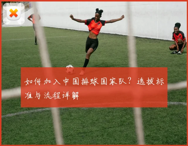 如何加入中国排球国家队?选拔标准与流程详解