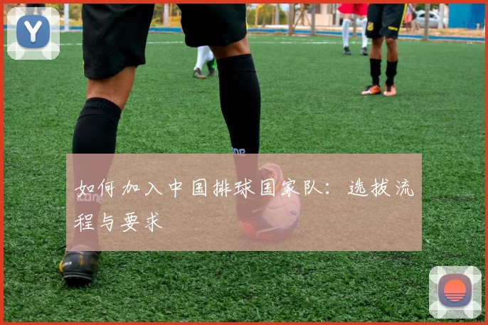 如何加入中国排球国家队:选拔流程与要求